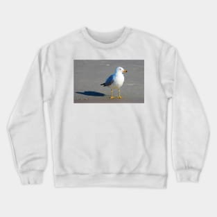 Seagull And His Shadow Crewneck Sweatshirt